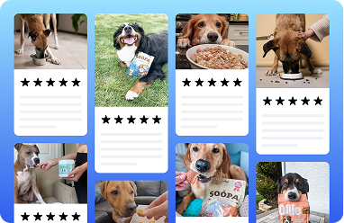 Review Feed & Ratings Overview