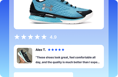 Snippets Widget