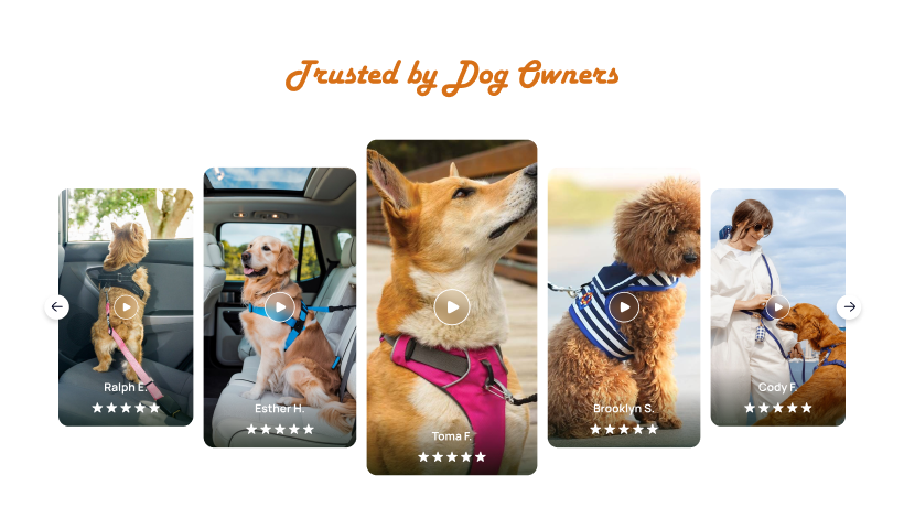 Stacked UGC Review Slider Banner